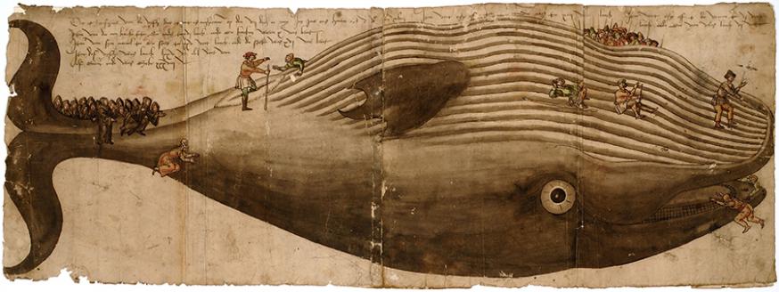 Aangespoelde vinvis te Egmond, 1547 © Collectie Stad Antwerpen - Museum Plantin-Moretus Aangespoelde vinvis te Egmond, 1547 © Collectie Stad Antwerpen - Museum Plantin-Moretus