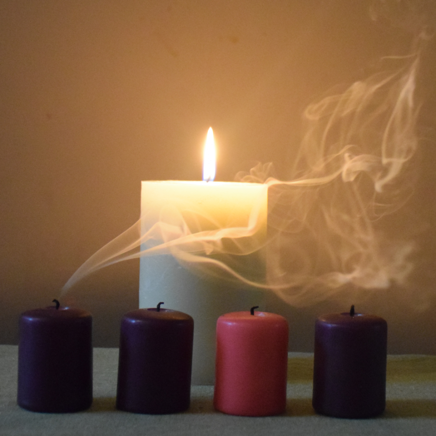 Lichthappers © Hilde Pex