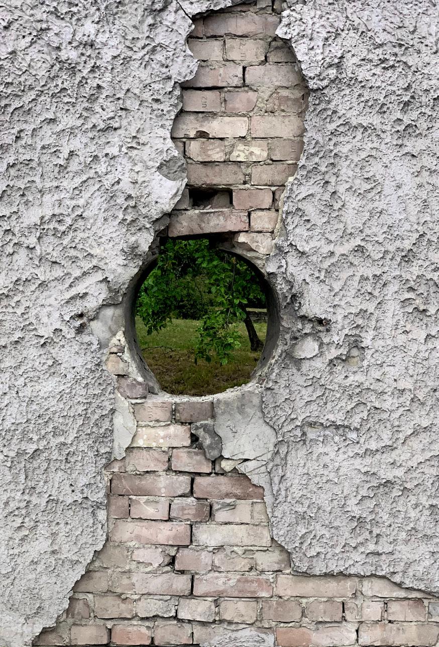 Doorheen de muur © Unsplash Mihaly Koles