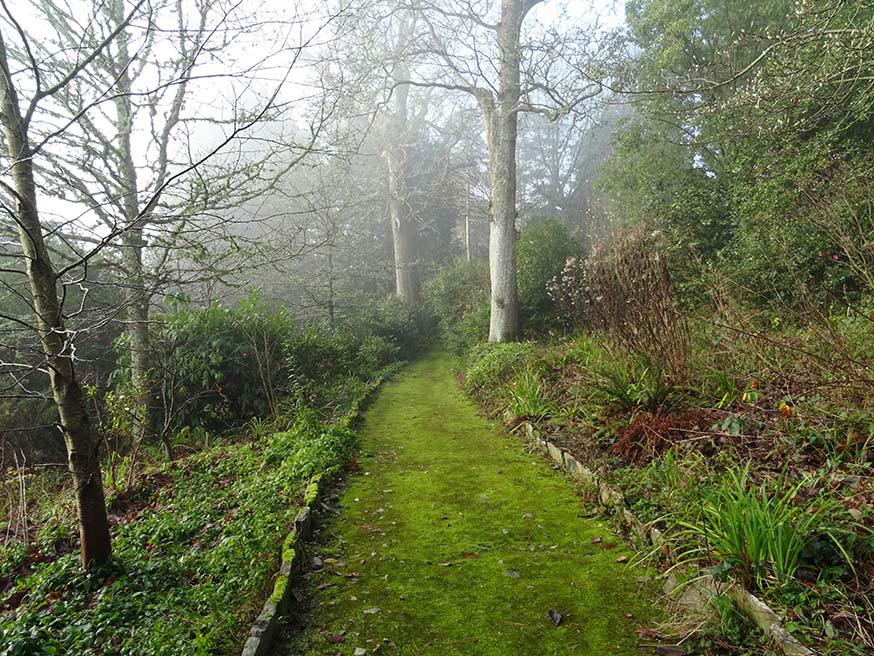 Pad van mos in Dartington Hall Gardens, VK © CC Phil Gayton via Flickr