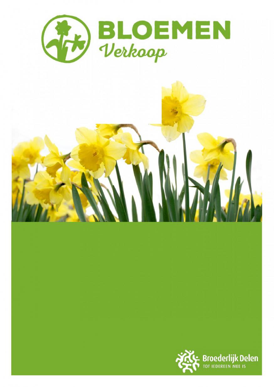narcissen 2023 