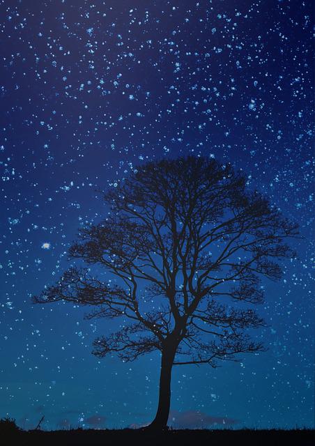 De nacht is stil, de woestijn hoort naar Gods stem © Samantha Marinho on Pixabay