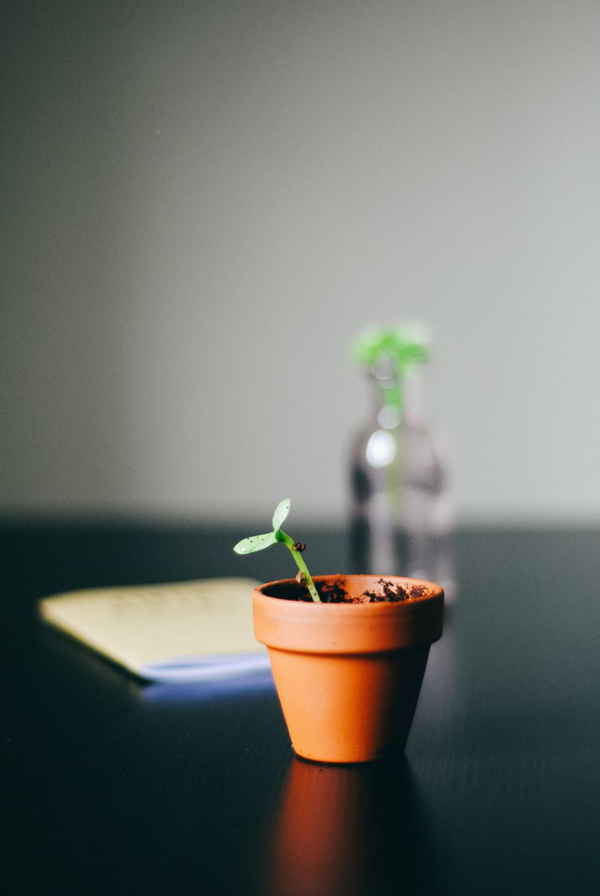 supervisie  © unsplash