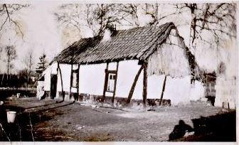 Ontstaan en groei van de parochie H Hart in Rooierheide. 