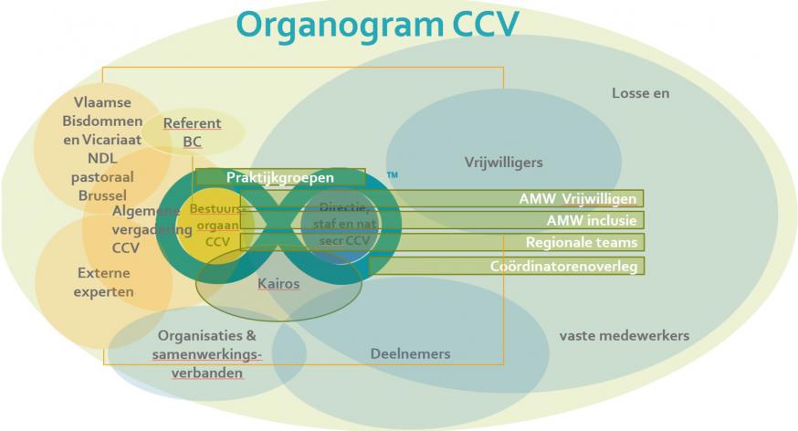 organogram CCV 