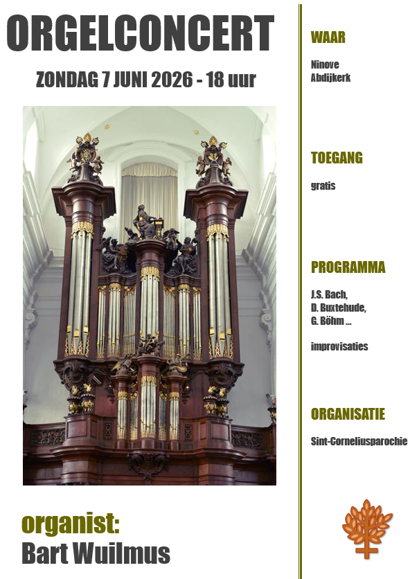 Orgelconcert in de Abijdkerk Ninove - 7 juni 2026 © Frederik Van Rampelberg