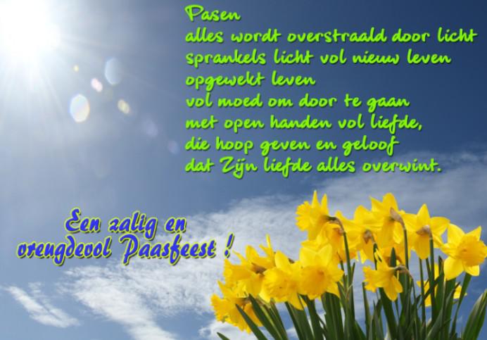 paaswens © T Poorters