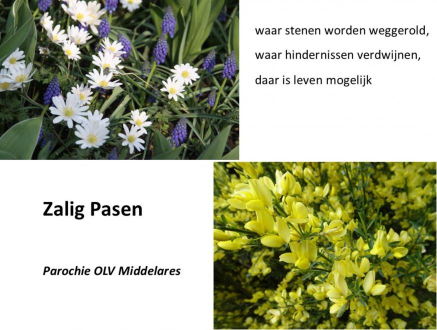 paaswens parochie 2026 © Mia Verbanck