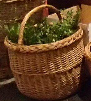 Er wordt dit jaar opnieuw palm gewijd. © lw