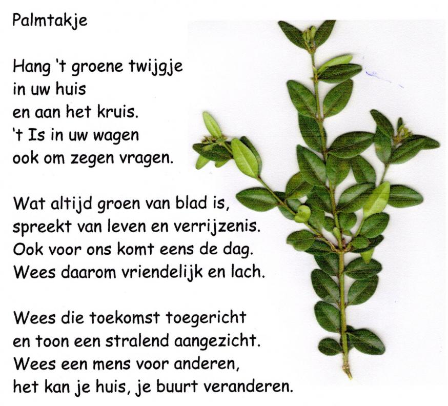 Palmtakje met tekst 