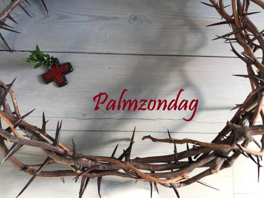 Palmzondag © Alexander Vandaele