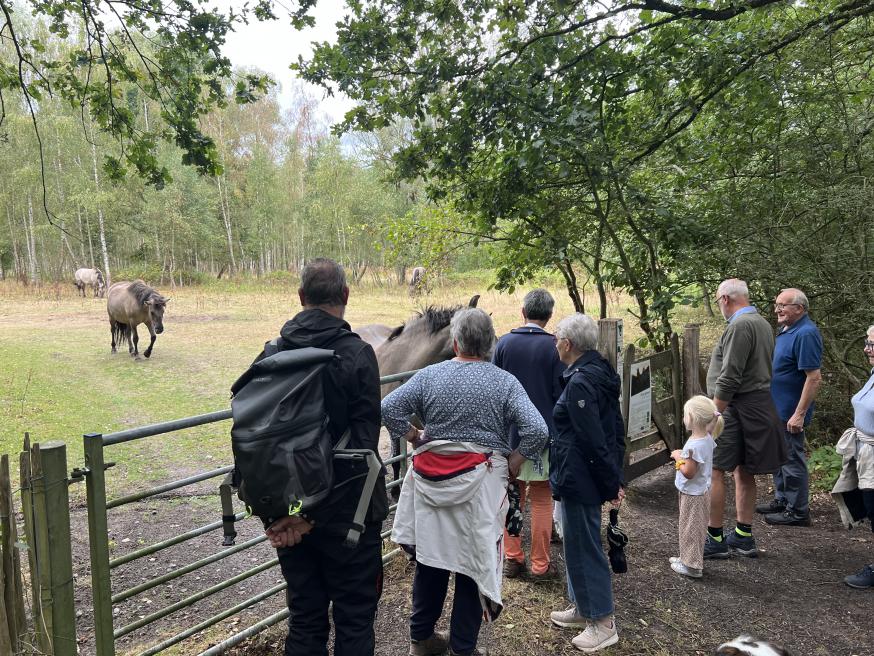 Parochiale wandeling 2026-2 