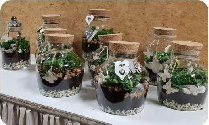 Plantenterrarium 