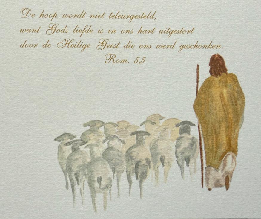 Priesterwijding Hylco Meirlaen © Hylco Meirlaen