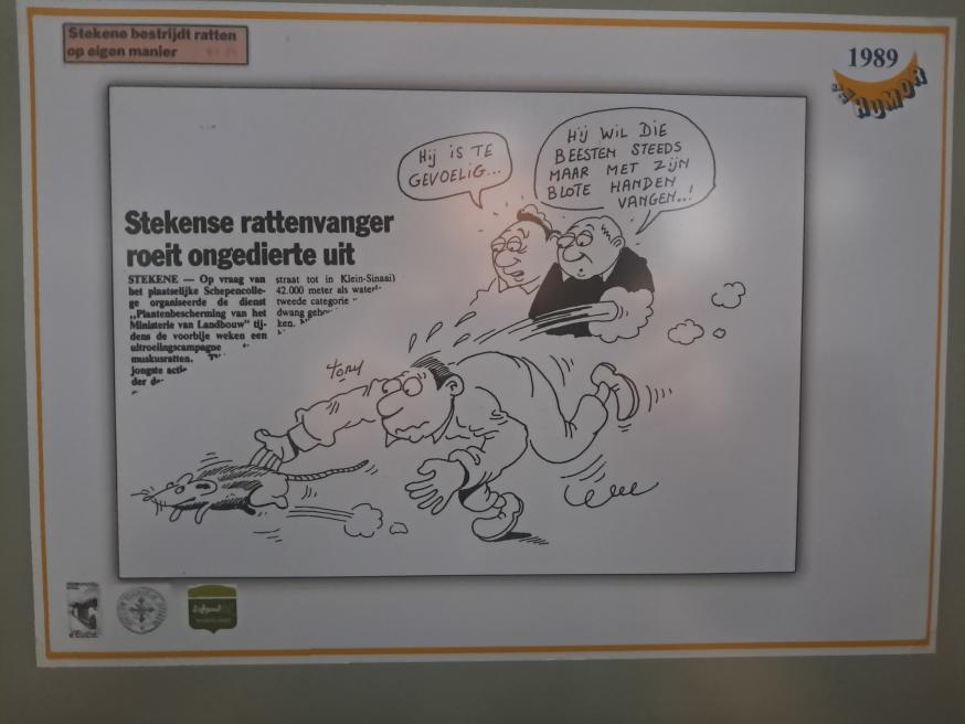 Cartoon over de rattenvanger van Stekene 
