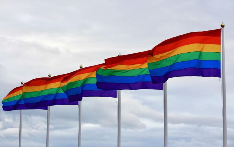 regenboog 