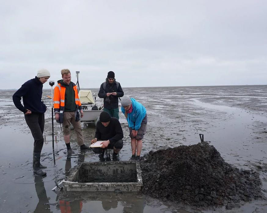 Een speciaal metalen frame maakt opgravingen in het wad mogelijk © Ruth Blankenfeldt/Universiteit van Kiel