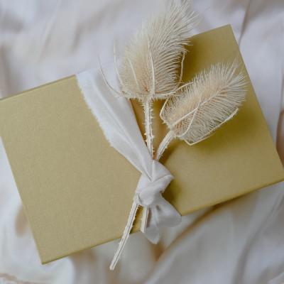 Briefomslag © Seashell in love, Kristin via Unsplash