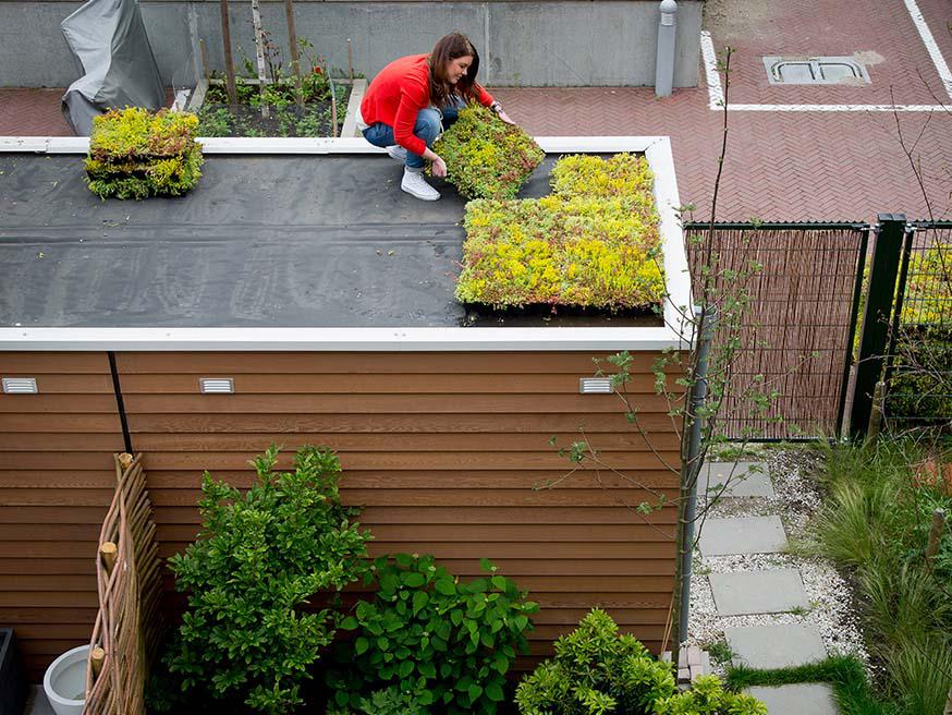 Een extra tuin op je dak heeft veel voordelen © Lannoo (Zakboek voor de sponstuin), met toestemming