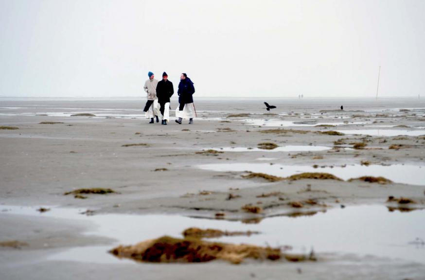 Trappisten keren na 400 jaar terug naar Schiermonnikoog © Monniken Schiermonnikoog