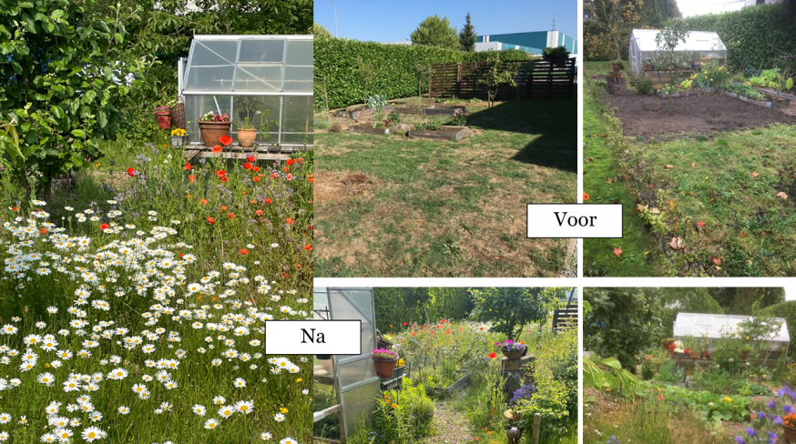 Tuinranger Leo maakte ook zijn tuin klimaatslim © Leo Maes