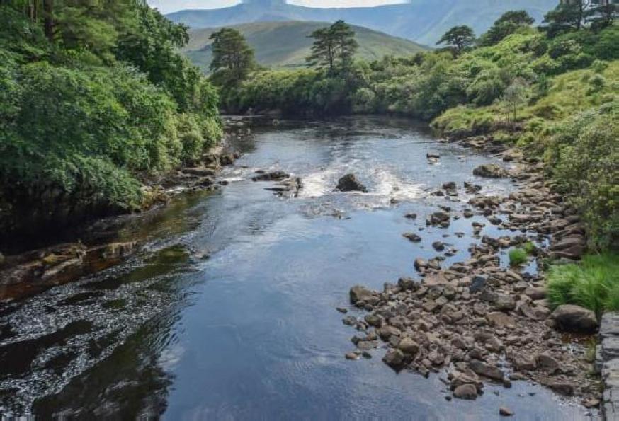 Verdergaan en herinneren © pixabay