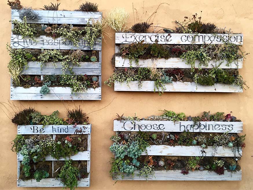 Verticale tuin van palletten tegen een muur Verticale tuin van palletten tegen een muur