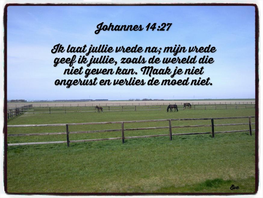 VREDE 