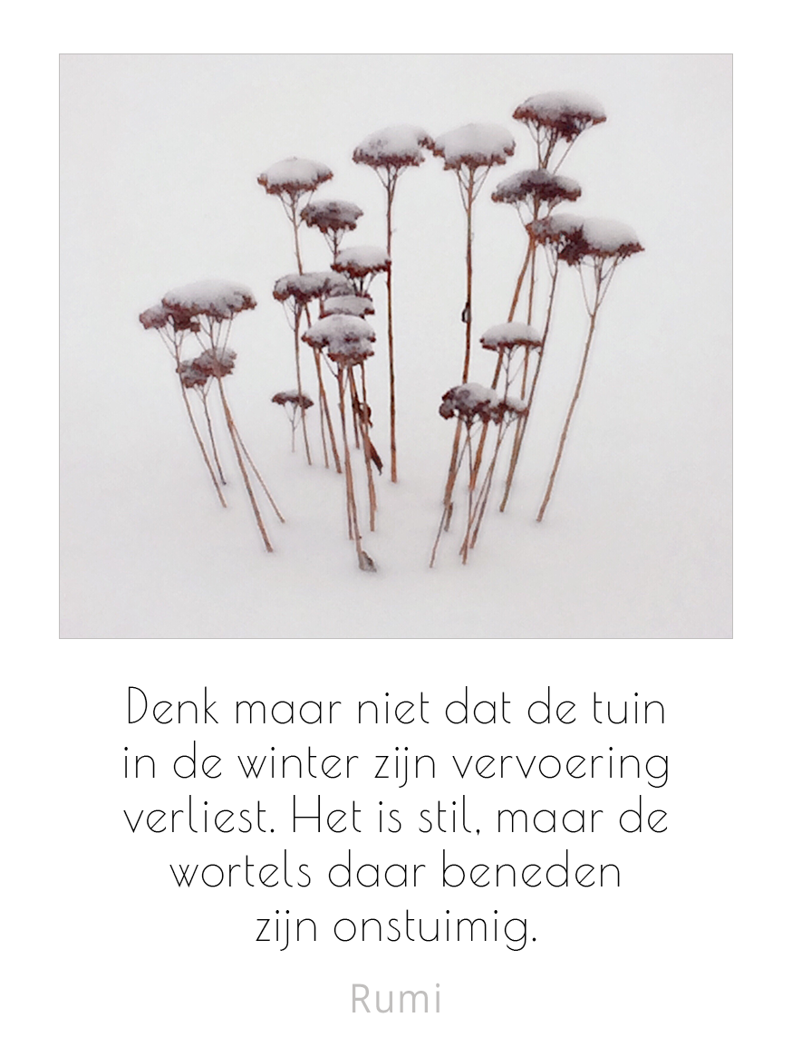 Denk maar niet dat de tuin in de winter zijn vervoering verliest. Het is stil, maar de wortels daar beneden zijn onstuimig. © Rumi