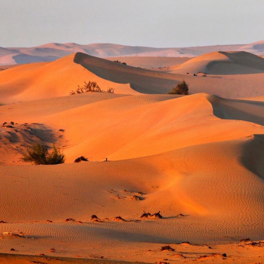 Woestijn © Canva