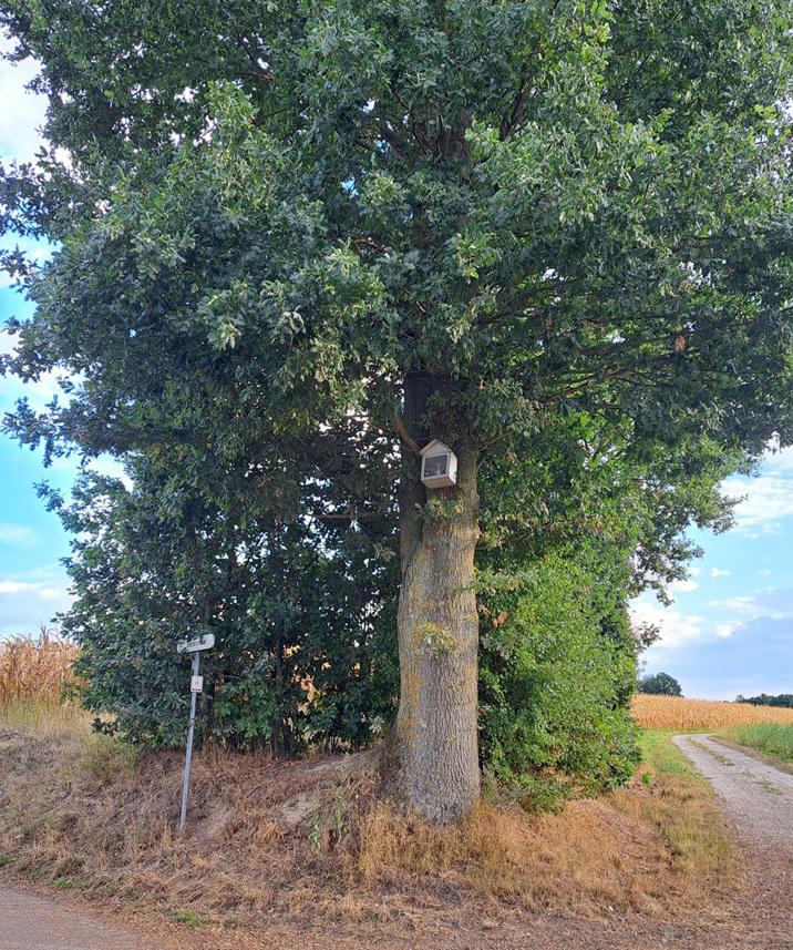 Op kapellekestour 